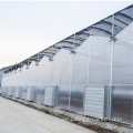 Transparente landwirtschaftliche Polycarbonatblattplatten -PC -Blattblatt